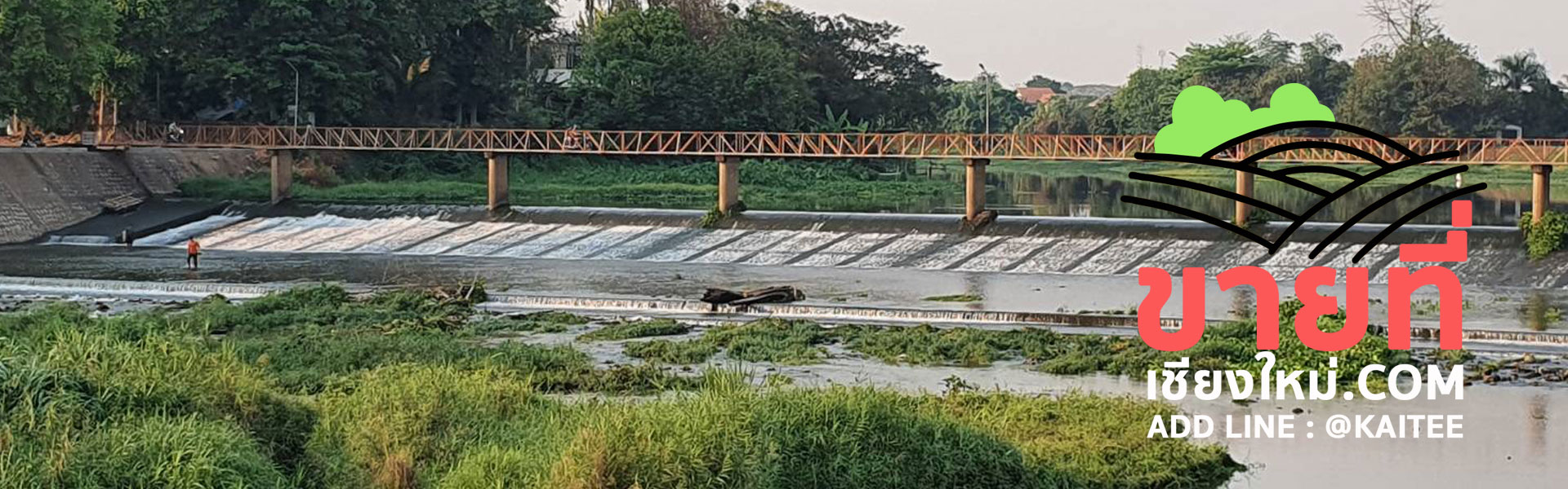 ขายที่เชียงใหม่ ขายที่ริมปิง